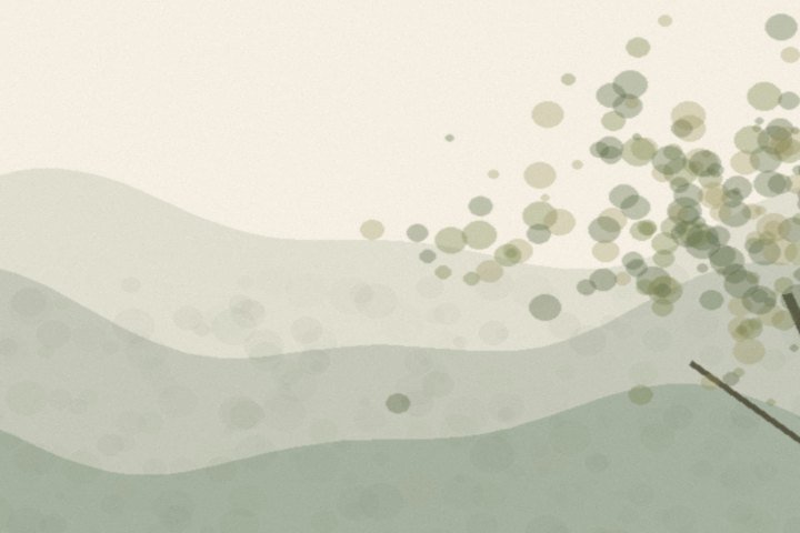 Quiet forest landscape